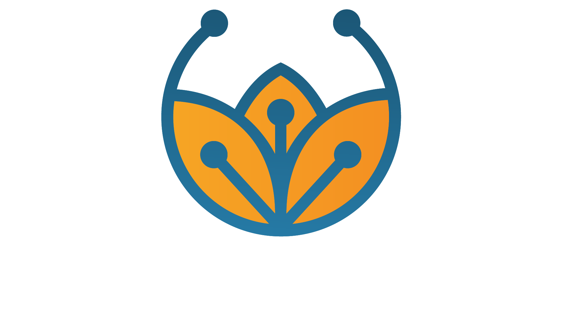 CIRCUIT BLOOM MEDIA
